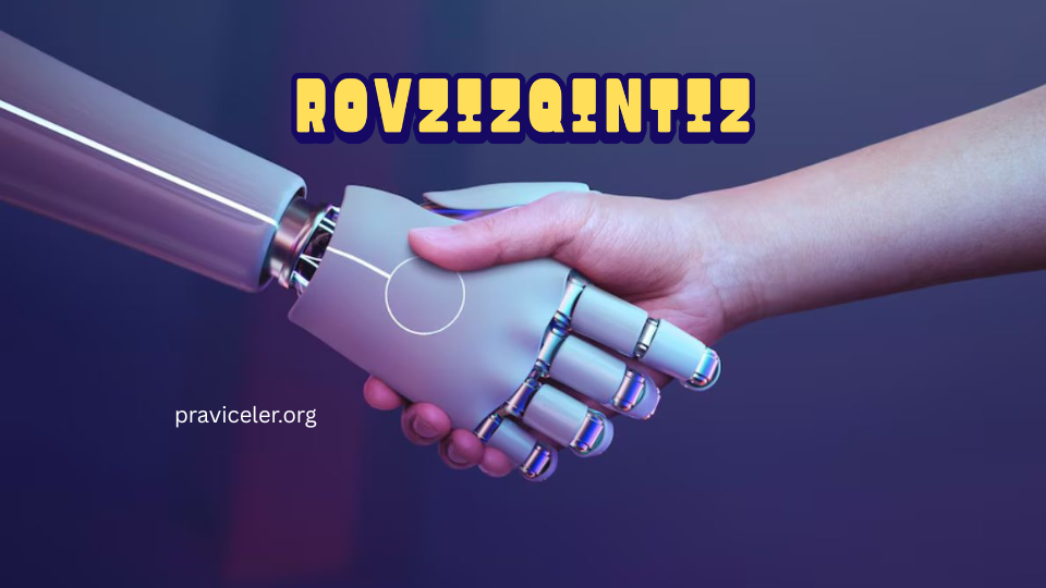 rovzizqintiz