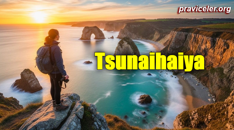 tsunaihaiya